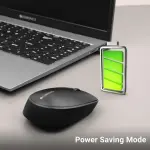 ZEBRONICS ACTIVE Wireless Ambidextrous Optical Mouse