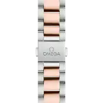 Omega SEAMASTER AQUA TERRA 34 mm in Steel and 18K Sedna™ Gold